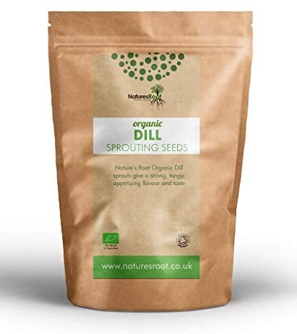 Nature’s Root Organic Dill Sprouting Seeds 60g - Dill Microgreens | Non-GMO Micro Herb | Strong Aromatic Flavour | Soil Association Certified Organic