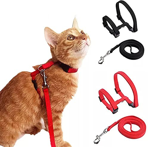 Gilet per gatti con guinzaglio,Imbracatura regolabile,Fuga Corda di sicurezza per gatti e gattini