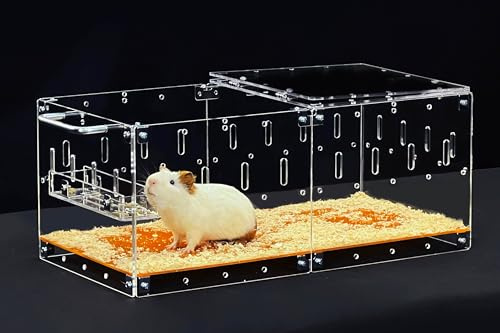 GuineaLoft™ Gabbia acrilica (modello-P2) - Gabbia espandibile per criceti, ratti, topi, gerbilli, piccoli animali inclini a fuggire e masticare, completamente bloccabile - Visita il negozio Guinea