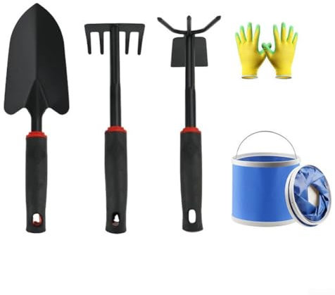 Jotekonoby Set di strumenti per pettinare la spiaggia, paletta per sabbia per bambini, per raccogliere conchiglie, pala da spiaggia, rastrello, vongole, strumenti per scavare conchiglie e raccogliere