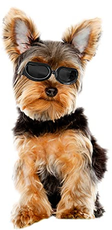 LESYPET Dog Goggles Small Breed, Cute Puppy Sunglasses with Foam Padded Inside, UV Protection Pet Sunglasses for Cats Puppies, Black