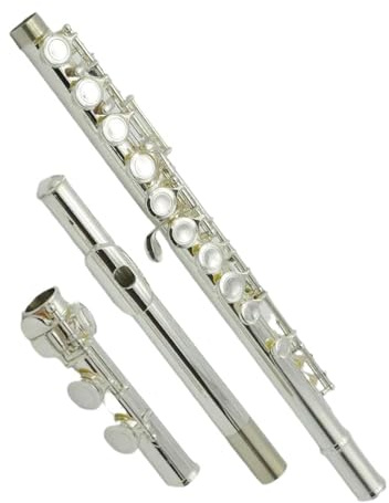 Flauto Scuola professionale Flauto dolce 16 tasti Flauto traverso in argento Accessori per strumenti musicali Tradizionali nativi