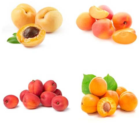 Semillas resistentes del albaricoquero columnares albaricoquero de organicas de frescas, decoración de jardín para 6pcs