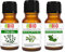 EukalyptusÖl - ThymianÖl - Ravintsara Öl Bio Set Ätherisches Öl 100% Reines - Aromatherapie Kosmetik Therapeutische - Laborbio