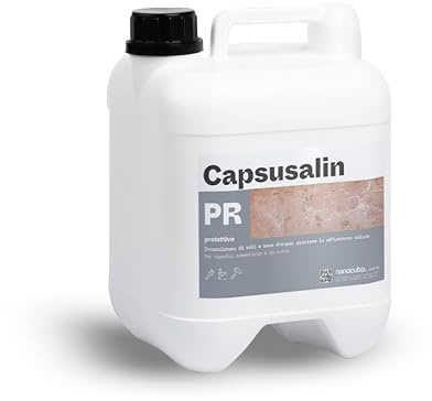 Nanocubo CAPSUSALIN 5L Cement- och bakad renare med problem med salt Efflorescens NANOTEKNISK SALTSULATOR Innovativ Vattenbas Lösning för att förhindra salt Efflorescens
