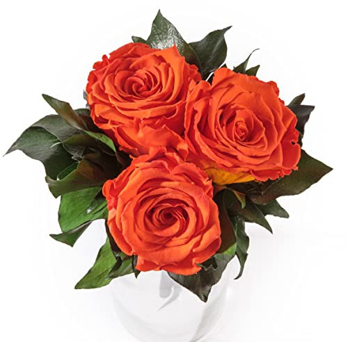 Blumenstrauss konserviert mit 3 Rosen - Rosemarie Schulz (Orange)