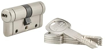 THIRARD - Cilindro de Cerradura Doble Entrada Federal S - Latón - Para Puerta de Entrada - 8 Pernos - Antiarranque, Antitaladro, Antiganzúa, Antirrotura, Anti-Snap - 30 x 30 mm - Gris