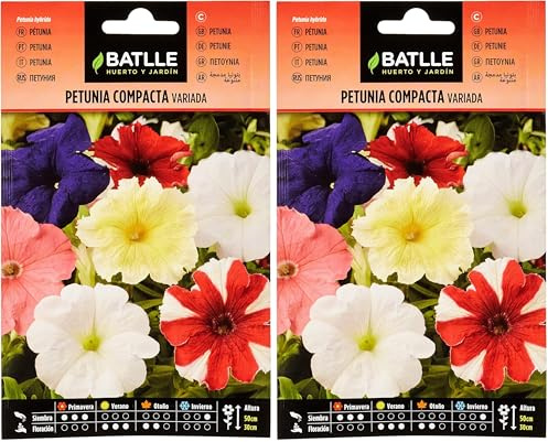 Batlle Petunia COMPACTE VARIEE (Lot de 2)
