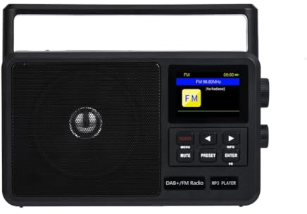ISKDJBJG Internet Digital Radio Bärbar FM-Radio med Dubbla Strömlägen Pocket Retro Radio EU PLUG