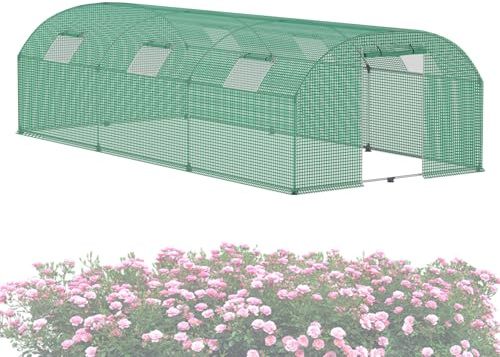 ACXIN Invernadero para jardín, 3 x 6 x 2 m, túnel de aluminio, varillaje de acero galvanizado, diámetro de 22 mm, HDPE + lámina de polietileno de baja densidad con rejilla, ventanas y puertas
