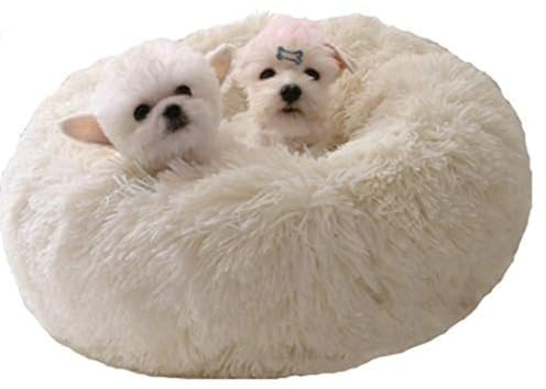 BODISEINT Modern Soft Plush Round Pet Bed for Cats or Small Dogs, Mini Medium Sized Dog Cat Bed Self Warming Autumn Winter Indoor Snooze Sleeping Cozy Kitty Teddy Kennel (24'' D x 8'' H, White)
