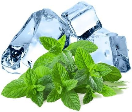 Semi di Menta ghiaccio o Menta Glaciale, Pianta Perenne Rinfrescante per Cucina e Cocktail, Ice Mint Seeds