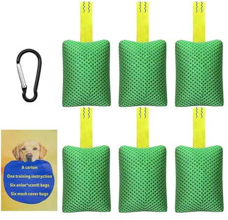 Kit d'entraînement à l'agilité pour chiens Set Interactif Apprentissage | Équipement Entraînement Agilité Canin Pour chiot intérieur plage piscine arrière-cour extérieur cour jardin parc