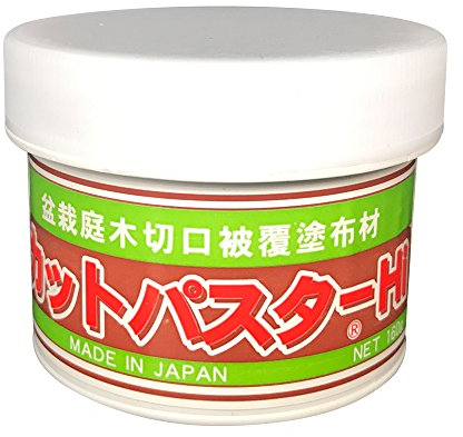 Japanischer Mastix, Heilpaste speziell für Bonsai-Laubbäume, 160 g