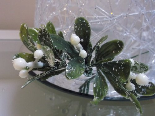 Frosted Mistletoe Pick - 20cm