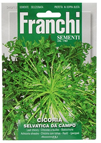 Franchi Chicory Selvatica Da Campo
