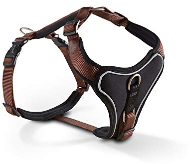 Wolters | Geschirr Professional Comfort in Tabac/Schwarz | Brustumfang 30 - 35 cm