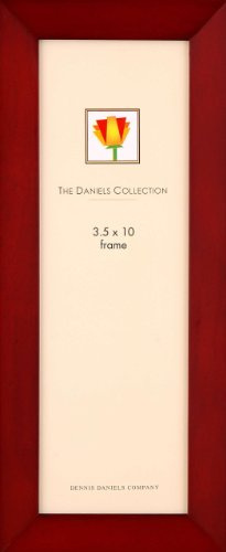 Classic Bevelled Style Dark Walnut Panoramic Frame by Dennis Daniels - 3.5x10