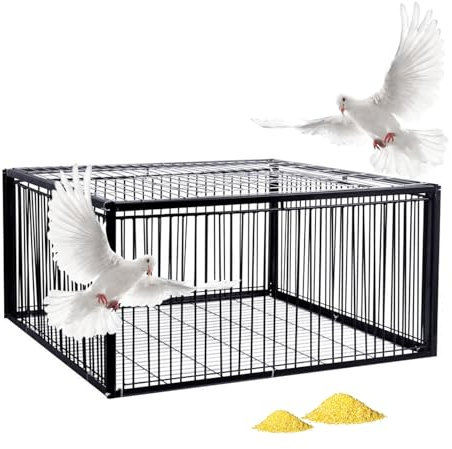 MBBTAG Piege a pigeon, Cage piège à Poulets et Oiseaux, cage piège à animaux piège à pigeons piege, piège à oiseaux avec conception anti-fuite, adapté aux terrasses, jardins et fermes(Noir,40x40x26cm)