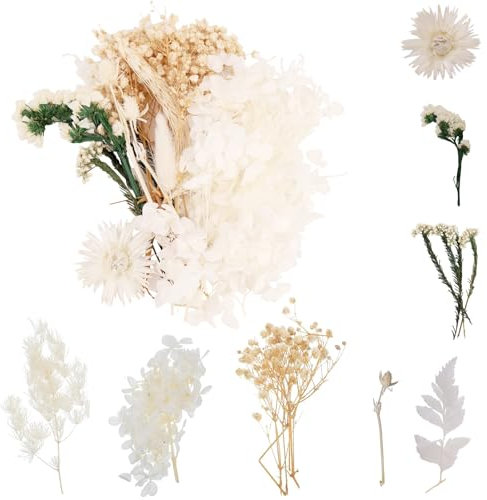 Ramo de flores secas naturales blancas, para decoración de tartas y manualidades con cartón reutilizable, mini flores secas para scrapbooking
