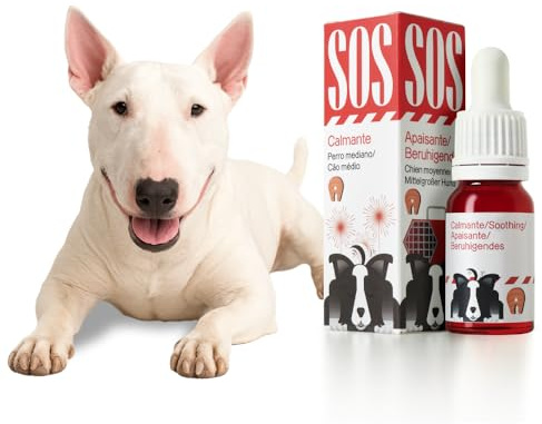VOTUM Lugnande olja för katter med laxsmak | Avkopplande hundar perfekt för smällare och stress | naturlig och vegansk laxolja för katter (medium, avslappnande lax)