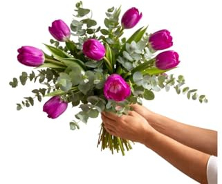 FLORES SOLIDARIAS - Ramo De Tulipanes Naturales - Ramo De Flores - 10 Tulipanes Eucalipto Violeta - Ramos De Flores Naturales A Domicilio - Regalos San Valentin - Envio 24H