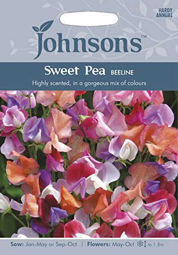 Johnsons 23073 Flower Seeds, Sweet Pea Beeline, Mixed