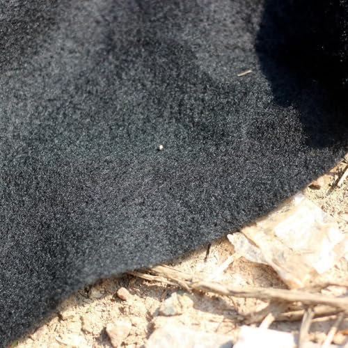 Base de estanque comercial para mejorar la vida útil de su revestimiento de estanque (1,5 x 2 m)