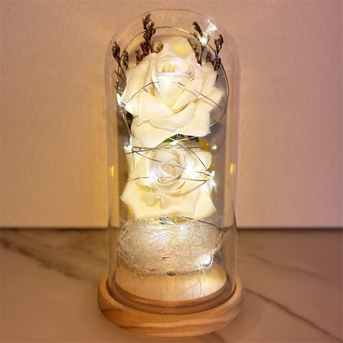 Rosa Stabilizzata Eterna in Vetro, Fiori Artificiali Realistici, Regalo per Donna Anniversario, Fidanzata,Festa della Mamma,Bella e la Bestia,Fiore Infinita Immortale,Regali Lei Amica Mamma Idea Donne