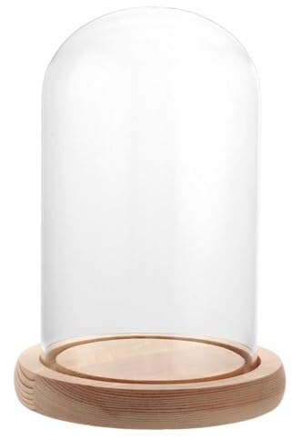 Voarge Glasglocke mit Holzboden, mit Holz Sockel Bell Jar Cloche für Valentinstag Muttertag Blumendekorationen Basteln, 9x15cm