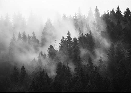 Runa Art Fototapete Wald Nebel 352 x 250 cm Vlies Tapeten XXL Moderne Wandtapete Wohnzimmer Schlafzimmer Schwarz Weiss 9552011c