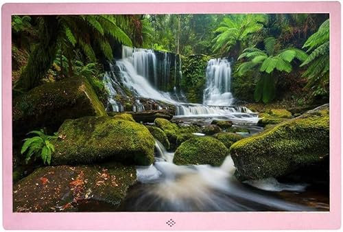 ININOSNP Cornice per Foto digitali Cornice for Foto Digitale Multifunzionale, videoregistratore, Album Fotografico elettronico, Macchina pubblicitaria da 15 Pollici(Rose Gold)