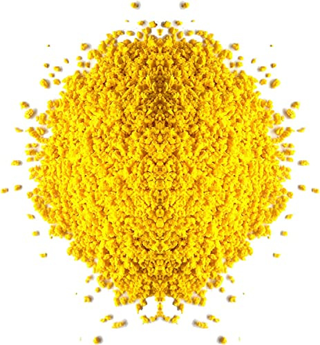 YELLOW EGG BISCUIT 2kg Canary Food Feed Canaries Budgies Egg Crumb