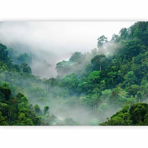 murando Photo Wallpaper Jungle 350x256cm, Non-Woven Premium Art Print | Fleece Wall Mural Decoration Poster Picture Design Modern, Landscape Sky Nature Forest Fog Green Trees