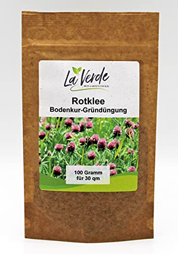 Rotklee 100 Gramm Samen - Bodenkur
