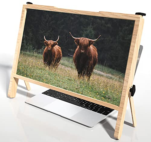 Lente di ingrandimento per laptop, lente di ingrandimento 3D 21 pollici lente di ingrandimento per PC film giochi e video supporto pieghevole lente d'ingrandimento (marrone)