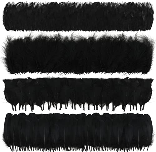 MWOOT 400 Stück Schwarz Federn zum Basteln Deko, 7-15CM Natur Bastelfedern, 4 Arten Federn für Traumfänger Faschingskostüme Halloween Masken Herstellung Ostereier Zubehör Dekoration, Crafts Feather