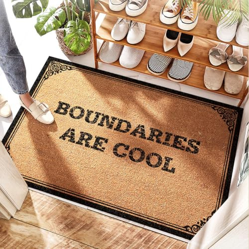 FZFN Shower Outdoor Rug | Rubber Garage Floor, Long, Boundaries Are Cool - Sunshine/Fall Doormats For Outdoor Entrance Home/Lights & Bathroom Floor(50X80CM)