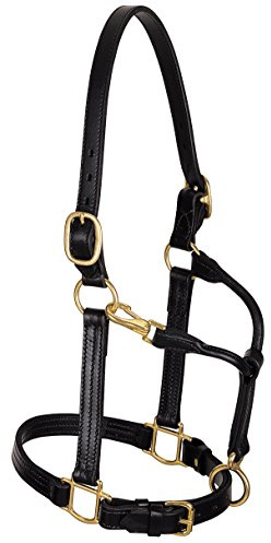 Weaver Leather Cavezza della pista