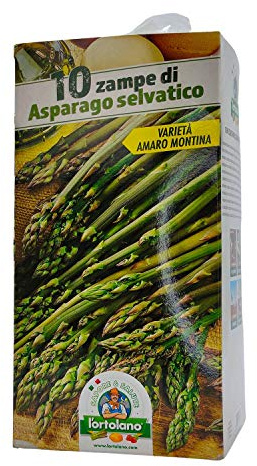 ASPARAGO DA TRAPIANTARE SELVATICO VARIETA' AMARO MONTINA IN CONFEZIONE DA 10 ZAMPE