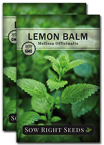 Sow Right Seeds - Lemon Balm Seeds for Planting - Non-GMO Heirloom Packet with Instructions - Easy to Grow Herb Garden - Aromatic Herb and Great for Herbal Teas - Perennial Mint Relative (2)