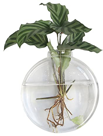 DEDEMCO Vaso da parete per terrari in vetro da appendere, 16 x 15 cm, vaso da parete per piante idroponiche, decorazione per la casa, A4
