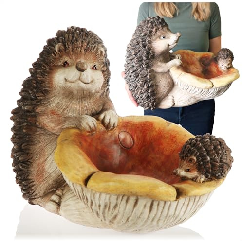 com-four® Riccio Decorativo con Fungo - Espositore Autunnale per Tavolo, Mensola, Davanzale - Piccola Ciotola per Decorazione, Noci o come Bagno per Uccelli - Figura Decorativa