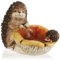 com-four® Erizo Decorativo con Seta - Exhibición Otoñal para Mesa, Estante, Alféizar de la Ventana - Cuenco pequeño para decoración, nueces o como baño para pájaros - Figura Decorativa