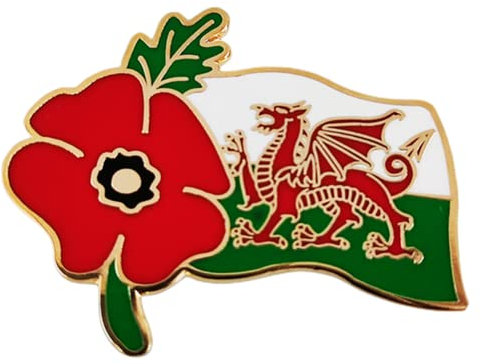 Wales Welsh Poppy Pin Badge Brooch Remembrance Day lest We Forget Poppy Badges and Pins 2025(1pc)