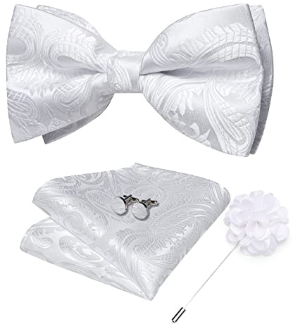 DiBanGu Silk Bow Tie Pre-Tied Bowtie and Pocket Square for Men | 5PCS,Paisley Pre-Tied Bow Tie,Easy to Match,Handerchief,Lapel Pin,Cufflinks,Wedding,Party,Prom,Banquet,Holiday,Ceremony