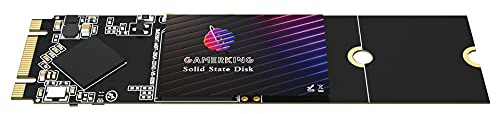 THREE COLOUR DOGFISH GamerKing SSD M.2 2280 256GB Ngff Internal Solid State Drive 1TB 512GB 128GB 64GB for Desktop Laptops SATA III 6Gb/s High Performance Hard Drive (256GB, M.2 2280)