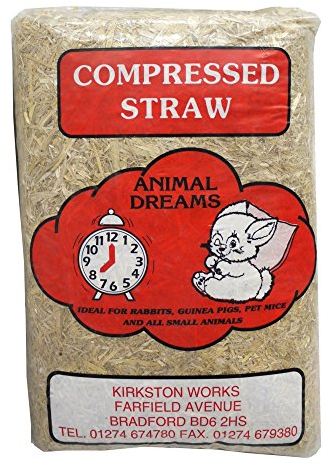 Other Animal Dreams Compressed Straw Standard, Clear