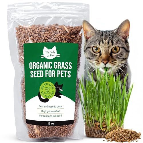 The Cat Ladies Semillas Hierba Gatera para Gatos - Semillas Hierba Gatera para Interiores de 450 g