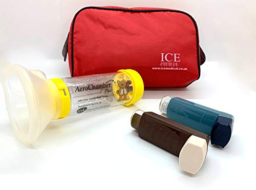 ICE Medicinsk inhalator väska – medium Röd